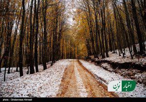 هواشناسی ایران ۱۴۰۲/۰۷/۱۵؛ بارش اولین برف پاییزی در کشور/ پیش‌بینی بارش‌های شدید در برخی استان‌ها